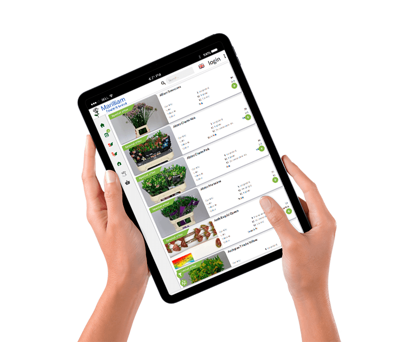 ipad showing Marilliam Flowers online shop